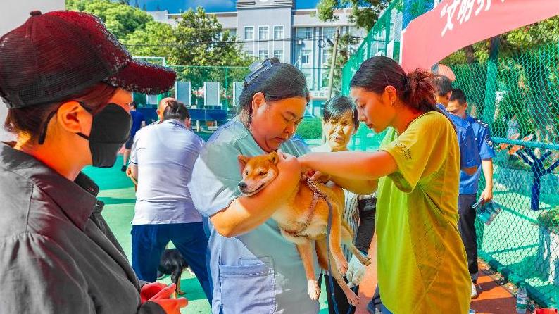 全省狂犬病綜合防控公益活動在我市成功舉辦